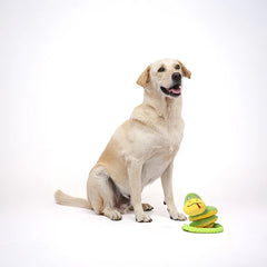 Skatrs Snake Plush Toy with Rope for Dogs and Cats