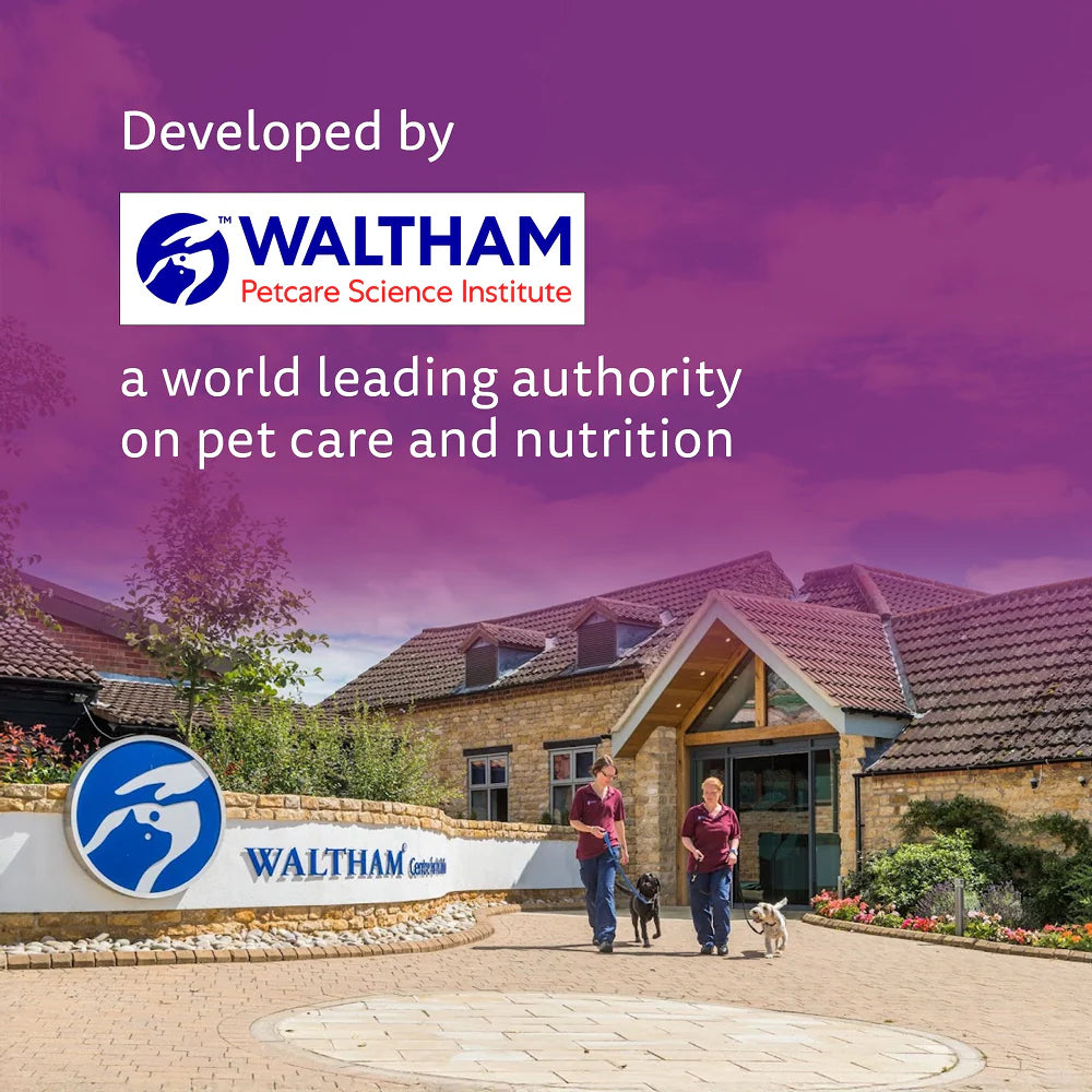 Whiskas Junior Mackerel Flavour Kitten (2-12 months) Cat Wet Food