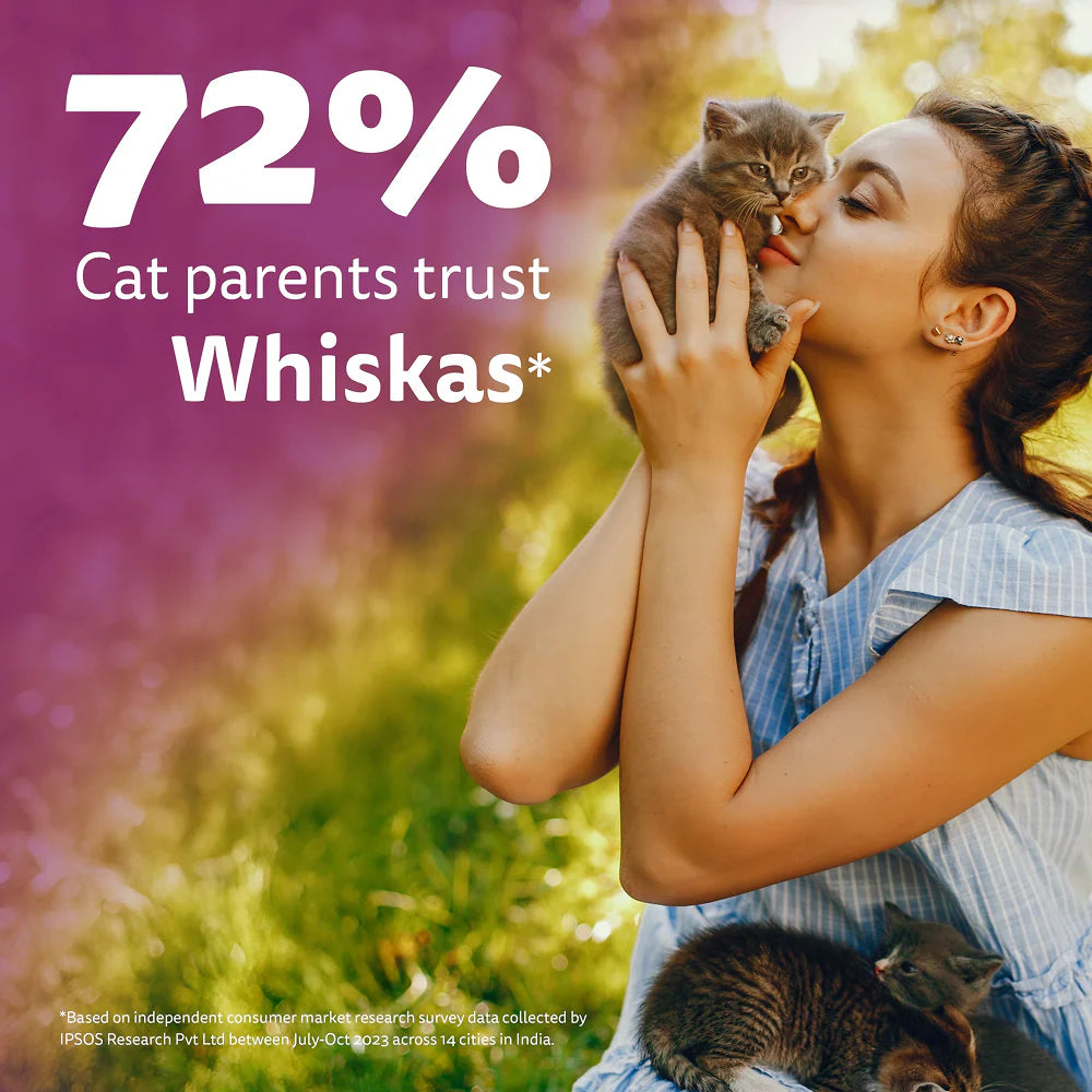 Whiskas Junior Mackerel Flavour Kitten (2-12 months) Cat Wet Food