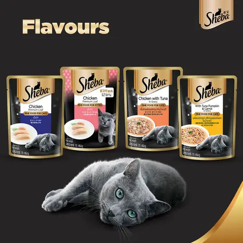 Sheba Chicken With Tuna In Gravy and Fish with Dry Bonito Flake Premium Cat Wet Food Combo