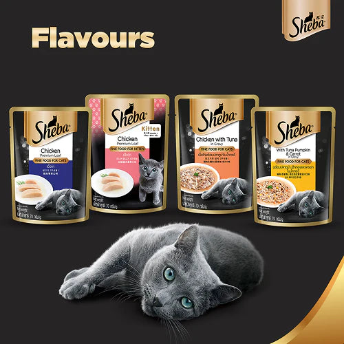 Sheba Maguro & Bream Fish and Tuna Pumpkin & Carrot In Gravy Rich Premium Cat Wet Food Combo