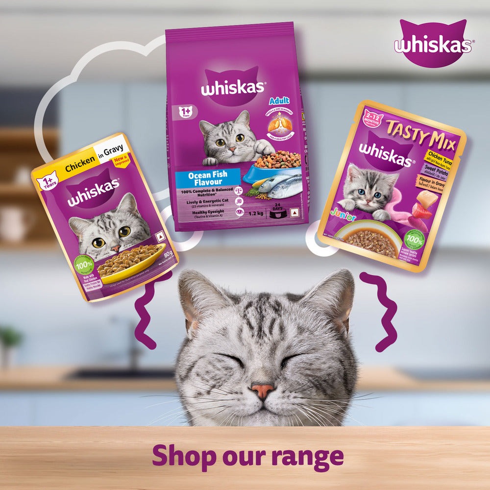 Carniwel Ocean Fish and Krill Dry Food and Whiskas Tuna in Jelly Meal Adult Cat Wet Food Combo