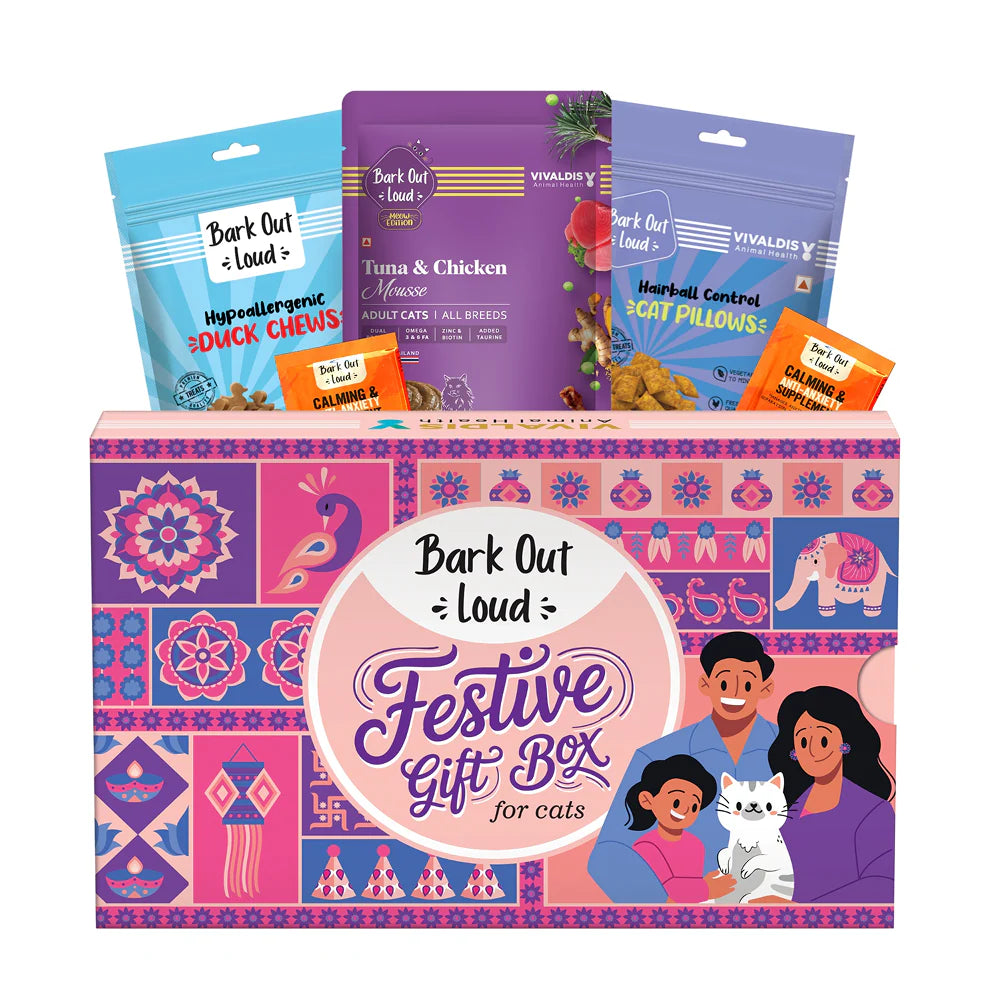 Bark Out Loud Festive Gift Box for Cats