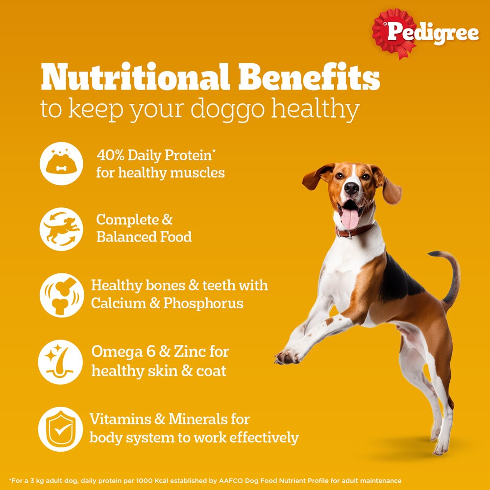 Pedigree PRO Expert Nutrition Active Adult (18 Months Onwards) Large Breed and Chicken and Liver Chunks in Gravy Wet Adult Dog Food Combo