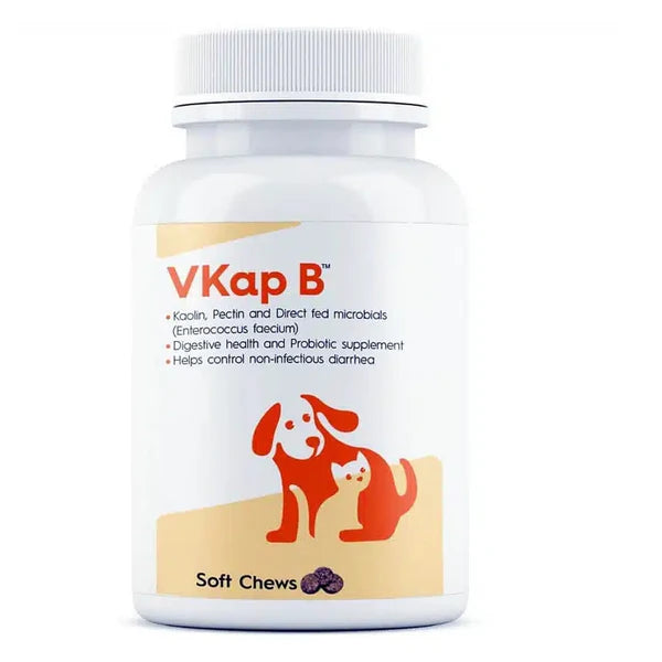 Vvaan Vkap B Digestive & Probiotics Supplements for Dogs & Cats (30 tablets)