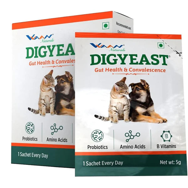 Vvaan Digyeast pouch for Dogs & Cats