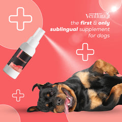 Venttura Immuno Plus Immunity Booster Spray for Dogs