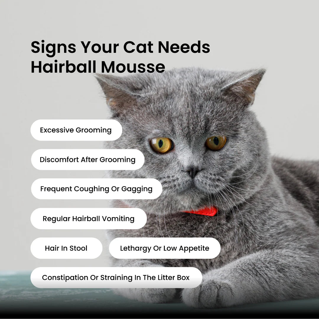 Absolut Pet Hair Ball Relief Creamy Supplement for Cat