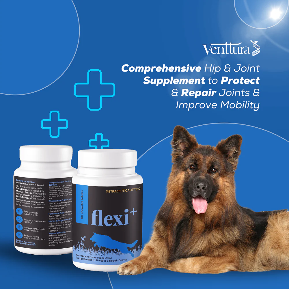 Venttura Flexi Plus Hip and Joint Chewable Tablets for Dogs