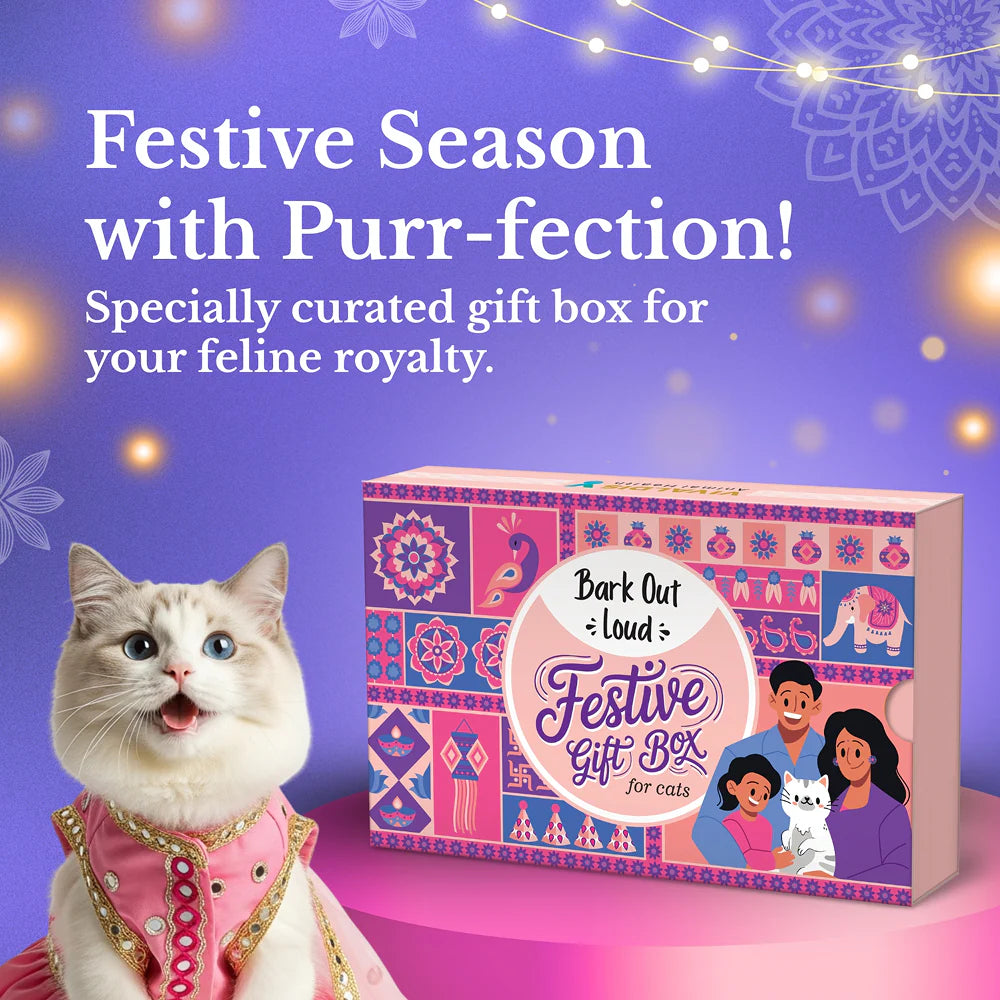 Bark Out Loud Festive Gift Box for Cats