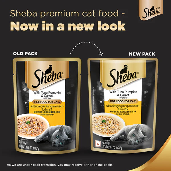 Sheba Tuna Pumpkin & Carrot In Gravy Rich Premium Adult Fine Cat Wet Food and Salmon Flavour Irresistible All Life Stages Cat Dry Food Combo