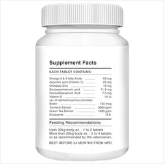 Drools Absolute Skin & Coat Tablets and Salmon Oil Syrup Supplement for Dogs Combo