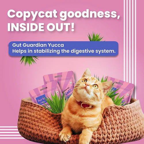 Bark Out Loud by Vivaldis Pillows for Sensitive Gut Cat Treats