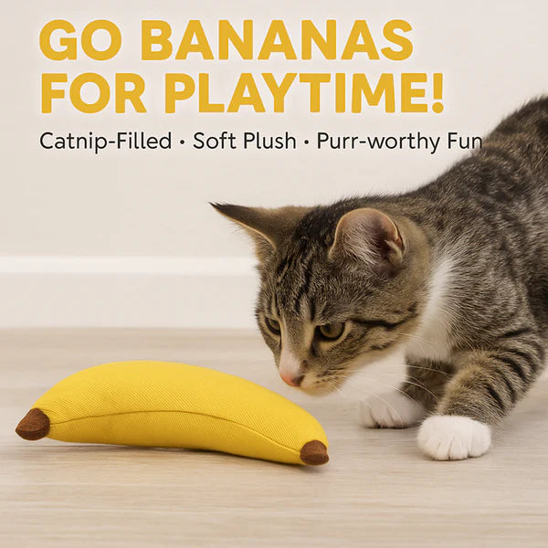 Talking Dog Club Bananas with 100% Catnip Toy for Cats (Yellow)
