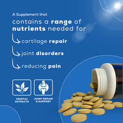 Venttura Flexi Plus Hip and Joint Chewable Tablets for Dogs