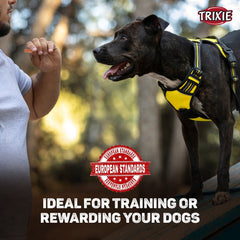 Trixie Premio Cheese Chicken Strip Dog Treats