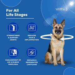 Venttura Flexi Plus Hip and Joint Chewable Tablets for Dogs