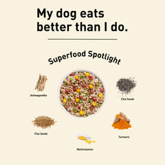 Homiee & Ginger Power Bowl Paneer & Veggies Fresh Food for Dogs