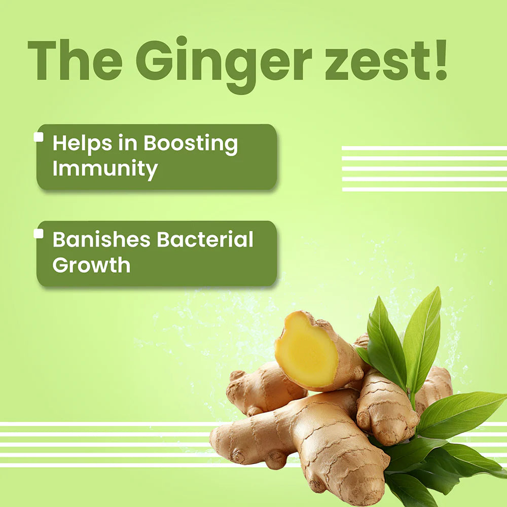 Bark Out Loud En Dewor Deworming Solution Tablets for Dogs and Cats