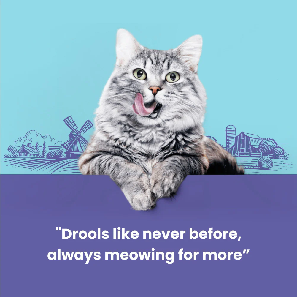 Catfest Chicken Meat Sticks Cat Treats