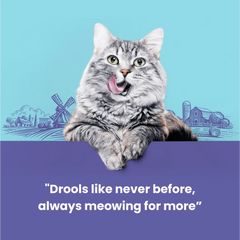 Catfest Pillows with Salmon Cream Cat Treats