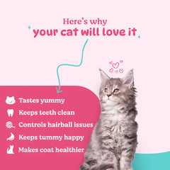 Basil Purrfect Tuna and Chicken Dental Stick Cat Treat