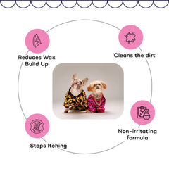 The Good Paws Clean & Clear Ear Pads for Dogs and Cats