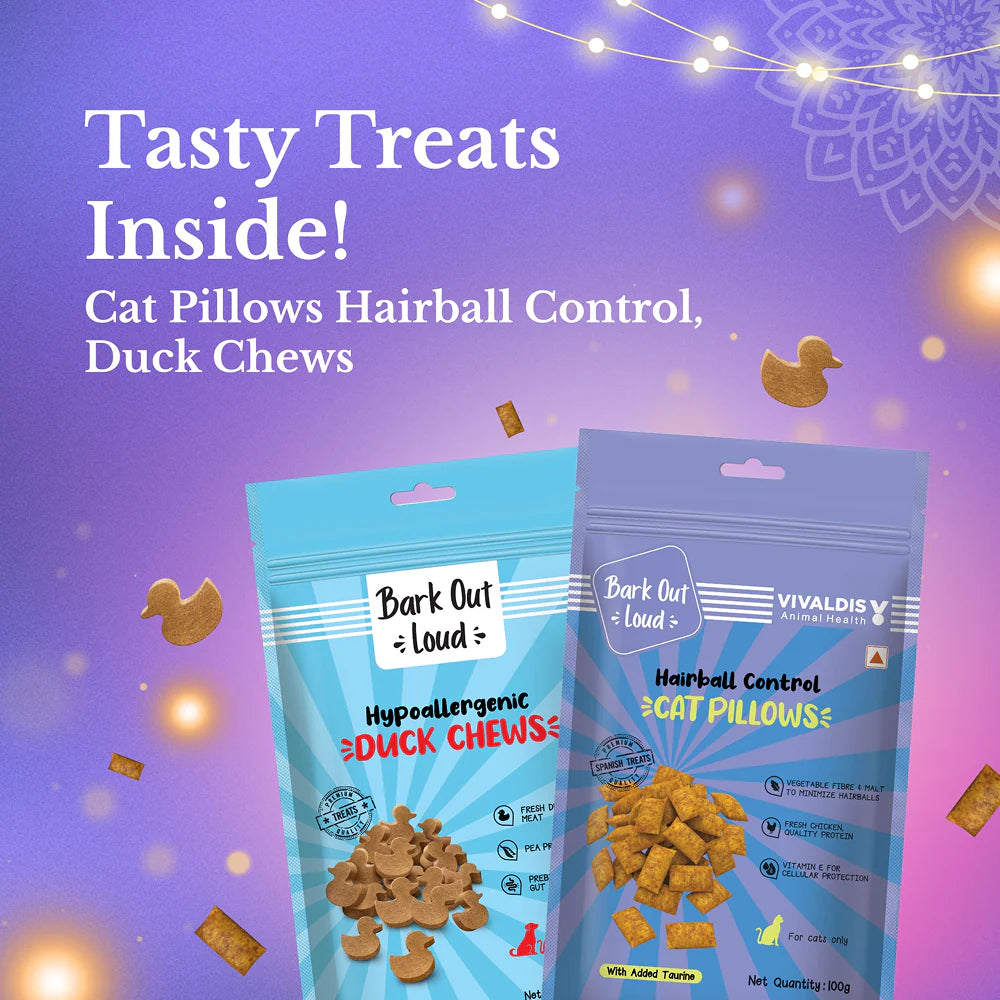 Bark Out Loud Festive Gift Box for Cats