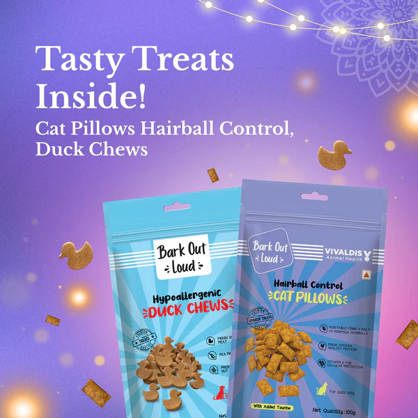 Bark Out Loud Festive Gift Box for Cats