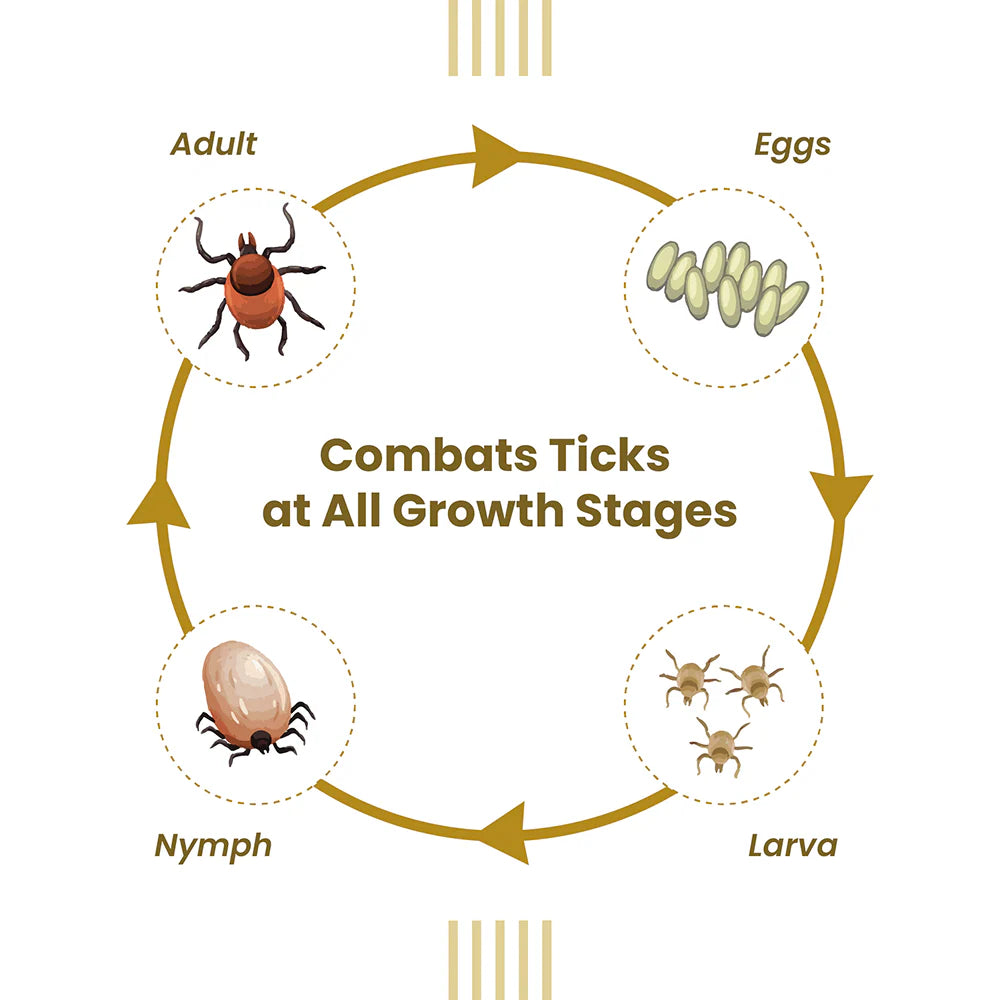 Vivaldis Vi-Fi Forte Spray (Fipronil) Tick & Flea Control for Dogs & Cats (100ml)