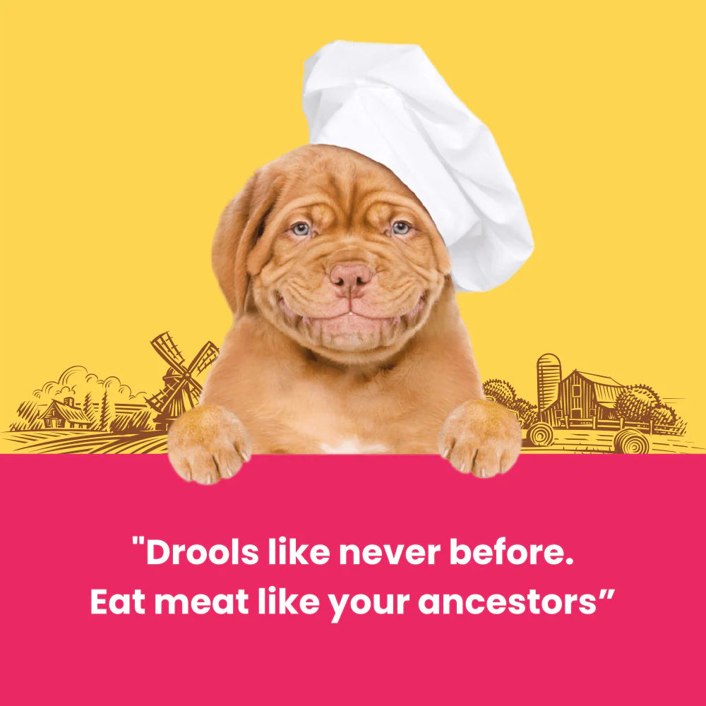 Dogfest Ostrich Medallions Dog Treats