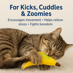 Talking Dog Club Go Bananas Catnip Toy for Cats (Yellow)