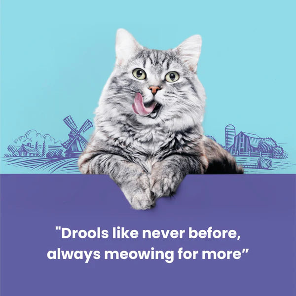 Catfest Pillows with Chicken Cream Cat Treats