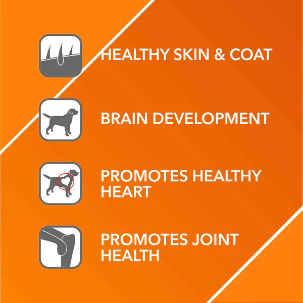 Drools Absolute Salmon Oil Syrup Supplement and Vitamin Supplement Tablets for Dogs Combo