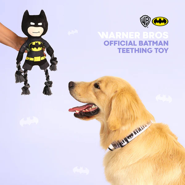Warner Bros Batman Plush Toy for Dogs and Cats