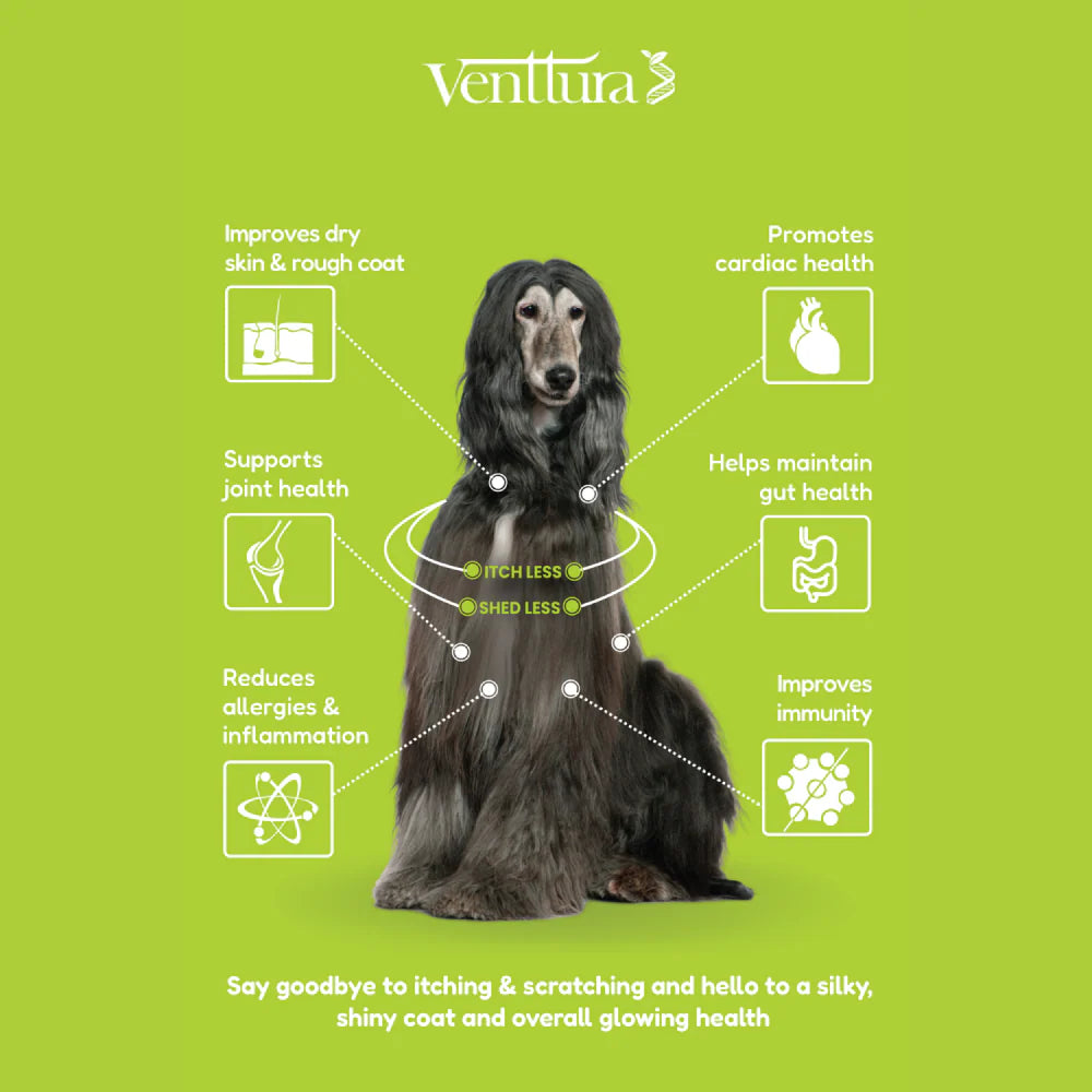 Venttura Omega 3 Plus Skin & Coat Syrup for Dogs