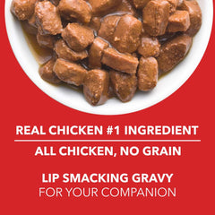 Drools Real Chicken & Chicken Liver Chunks in Gravy Adult Dog Wet Food (60g)