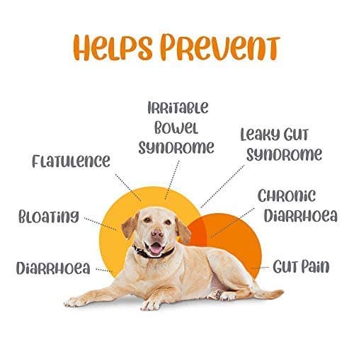 Vivaldis Entero Secure BD Tablet for Dogs and Cats