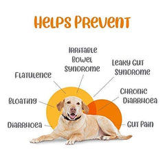 Vivaldis Entero Secure BD Tablet for Dogs and Cats