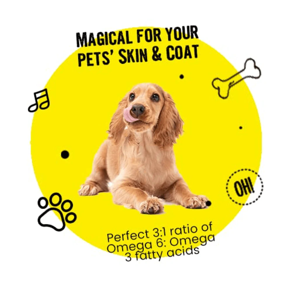 Healing Leaf Hemp Peanut Butter and Bark Out Loud Skin & Coat Hemp Chew Stix for Dogs and Cats Combo