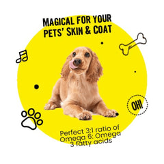 Healing Leaf Hemp Peanut Butter and Bark Out Loud Skin & Coat Hemp Chew Stix for Dogs and Cats Combo