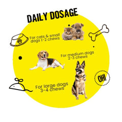 Healing Leaf Hemp Peanut Butter and Bark Out Loud Skin & Coat Hemp Chew Stix for Dogs and Cats Combo