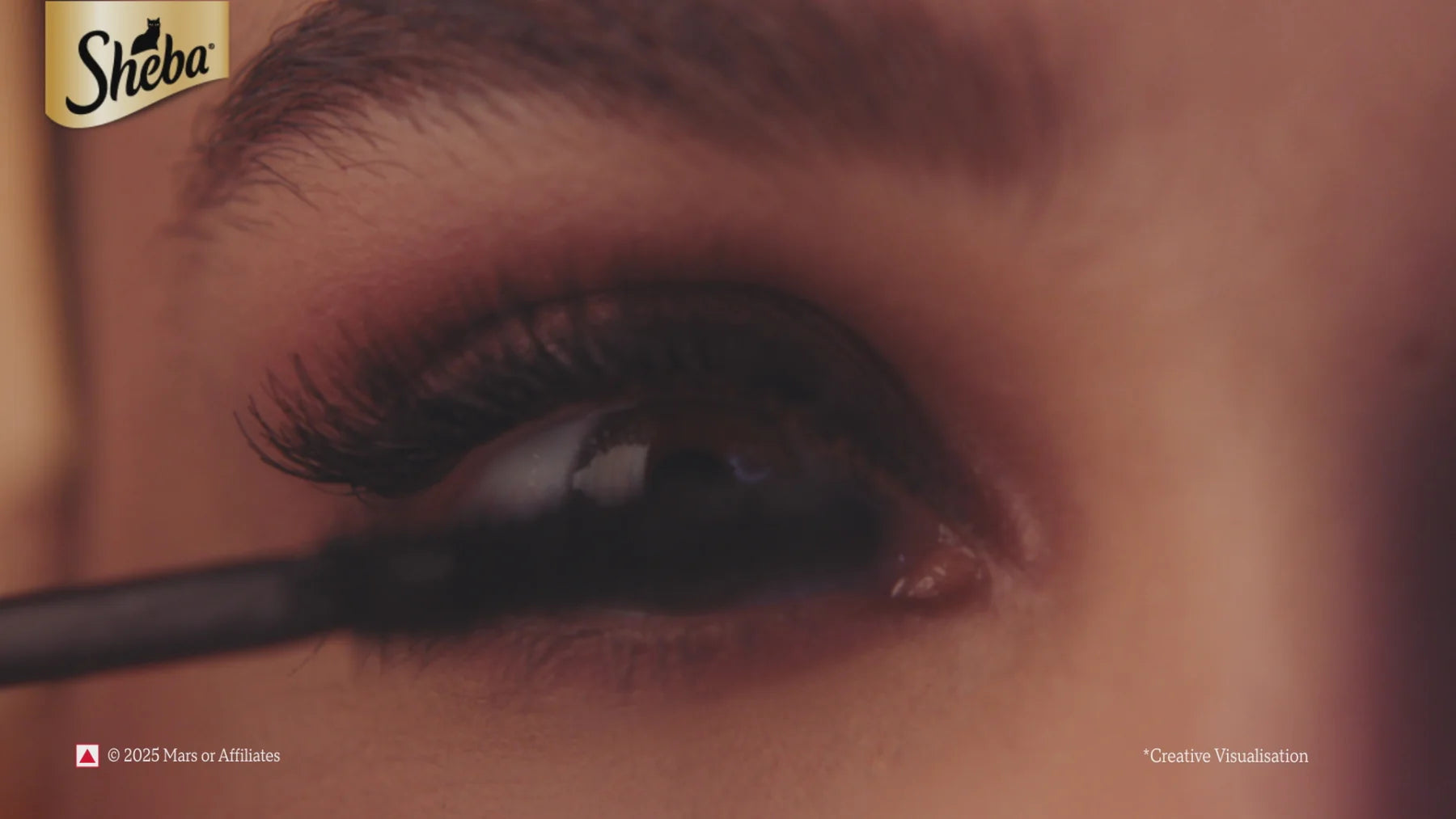 Sheba Maguro & Bream Fish, Skipjack & Salmon Fish and Fish with Sasami Mix Premium Cat Wet Food Combo