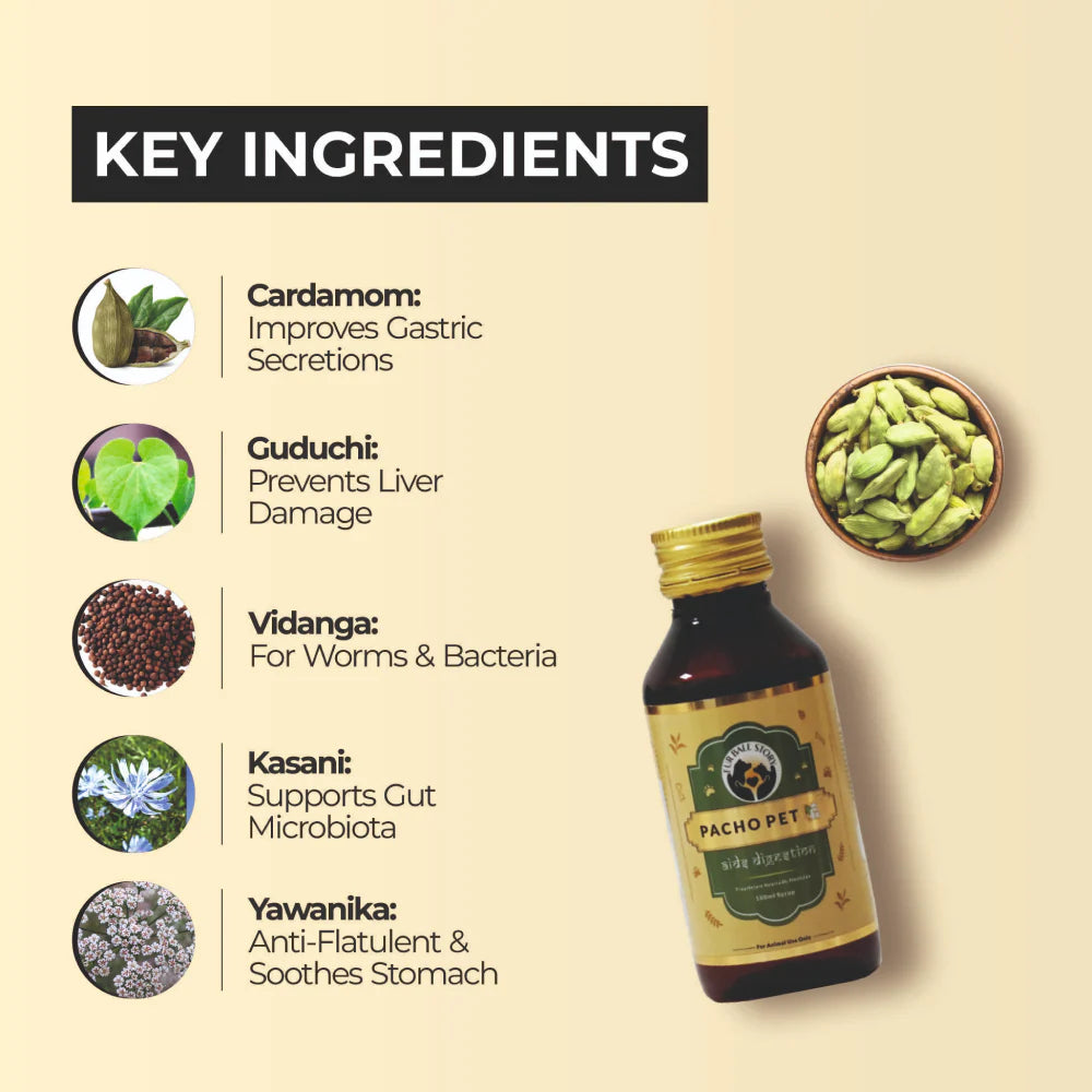 FurBall Story Pacho Relieves Stomach Issues Syrup for Dogs & Cats