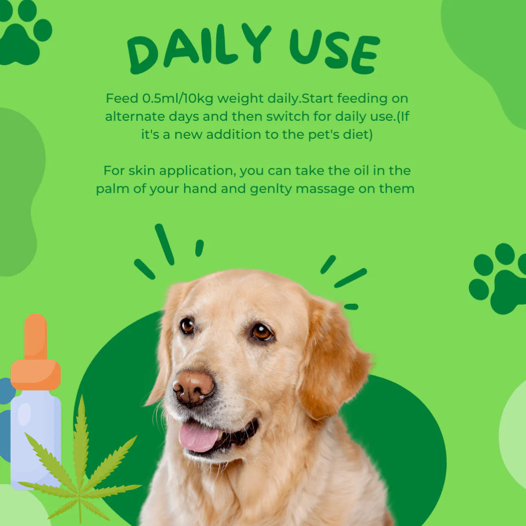 Healing Leaf Hemp Oil for Pets and Fresh For Paws Lamb On The Go Dog Wet Food Combo