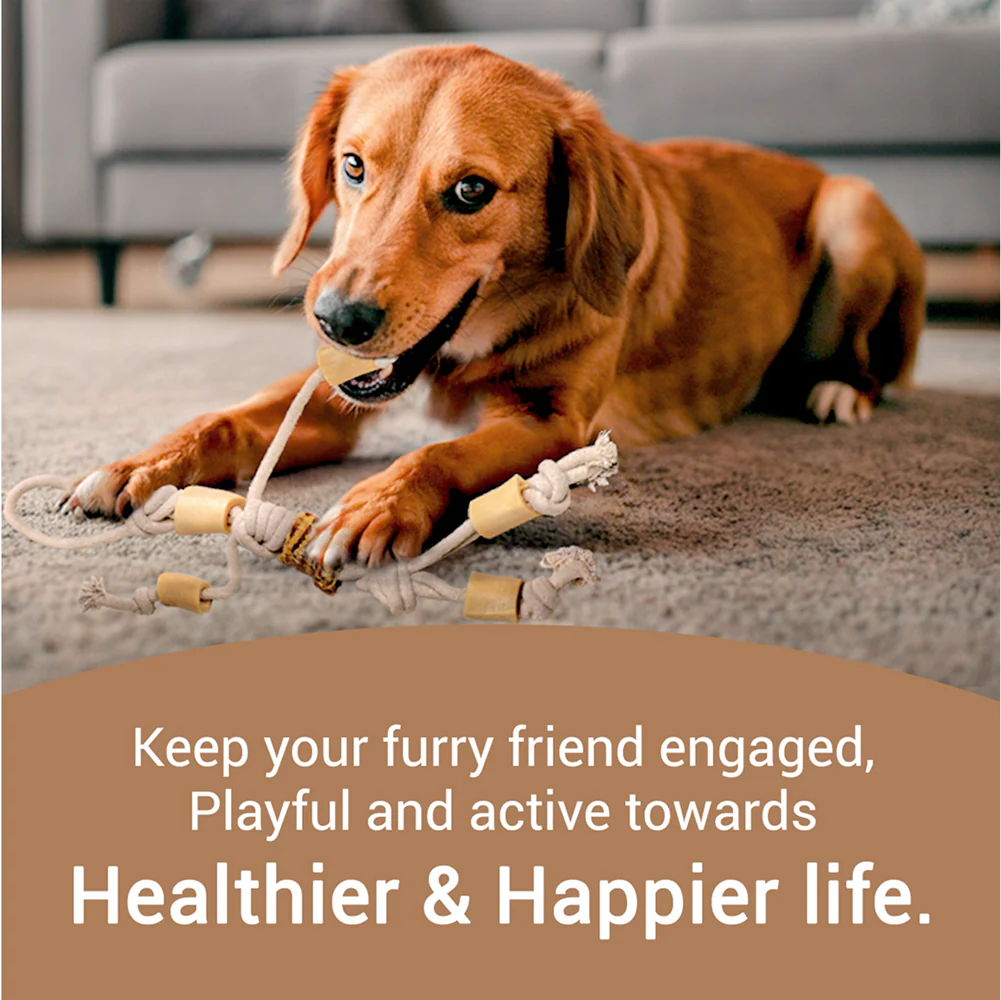 Bowlers Chewrope Marionette Rope Chew Functional Dog Treat Toy