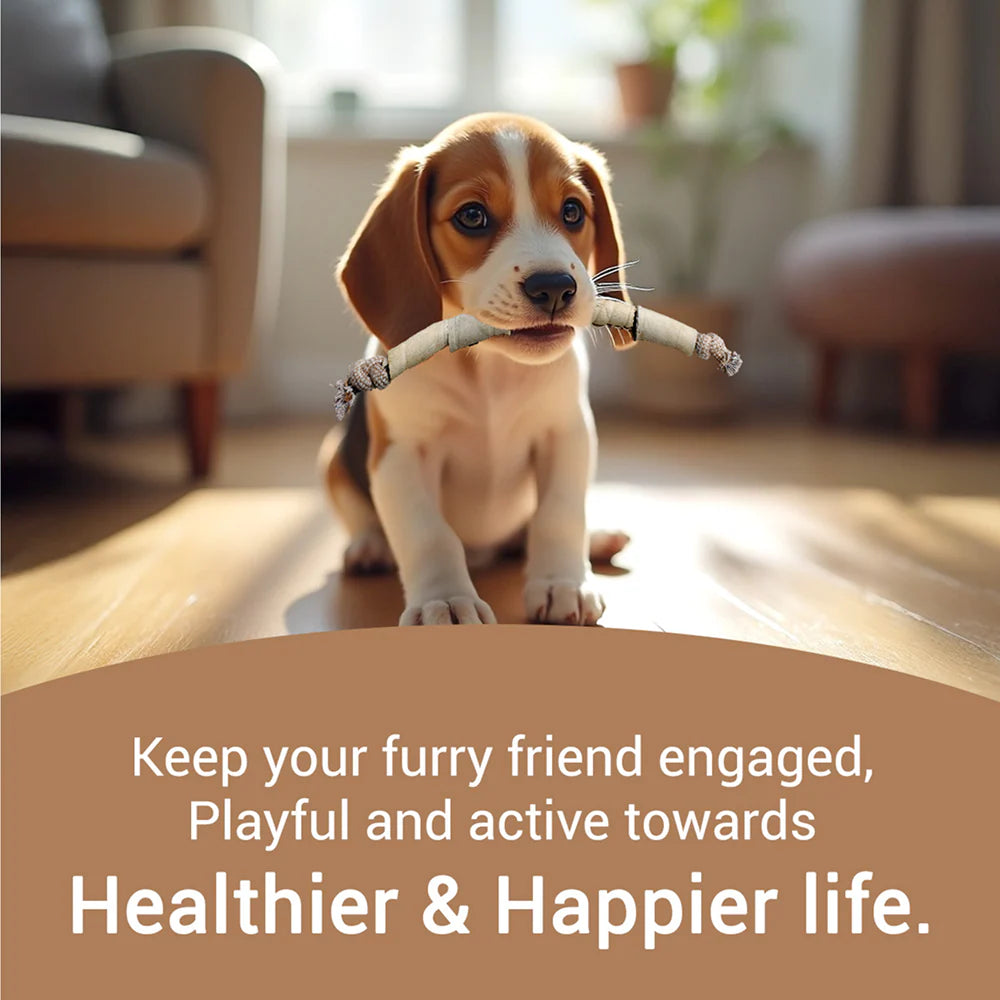 Bowlers Chewrope Caterpillar Functional Dog Treat Toy