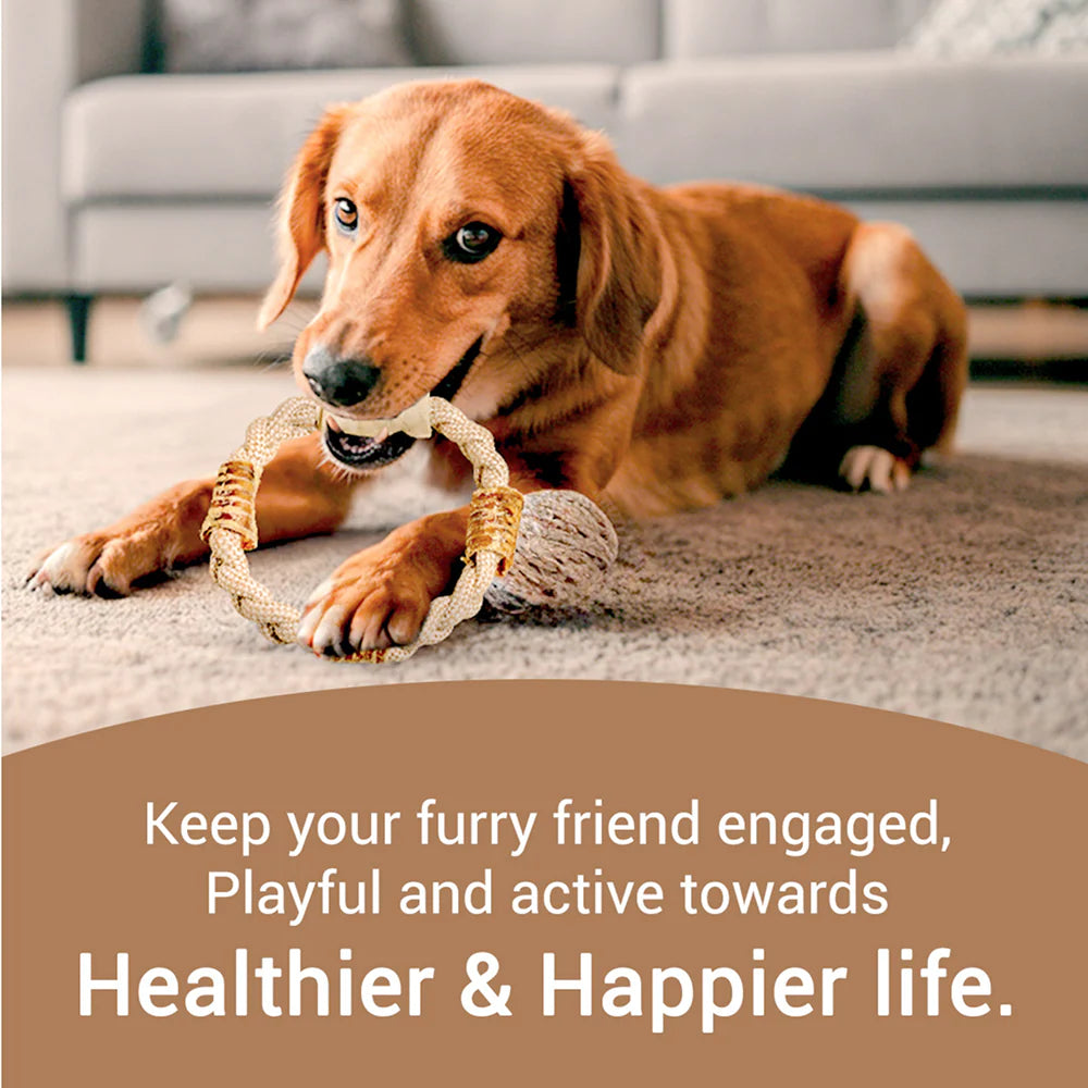 Bowlers Chewrope Donut Functional Dog Treat Toy