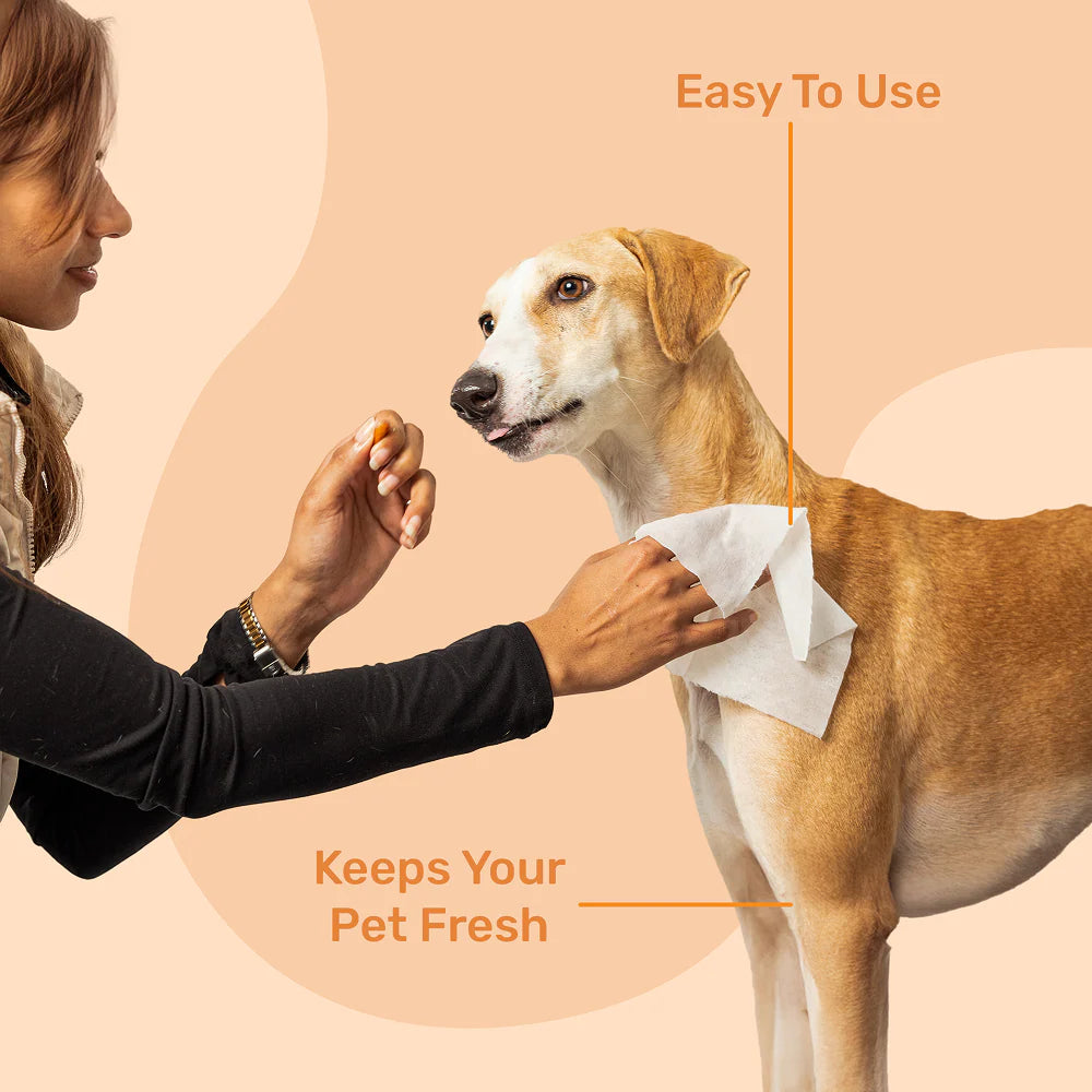 Kibbo Paraben Free and Non Toxic Wipes for Dogs and Cats