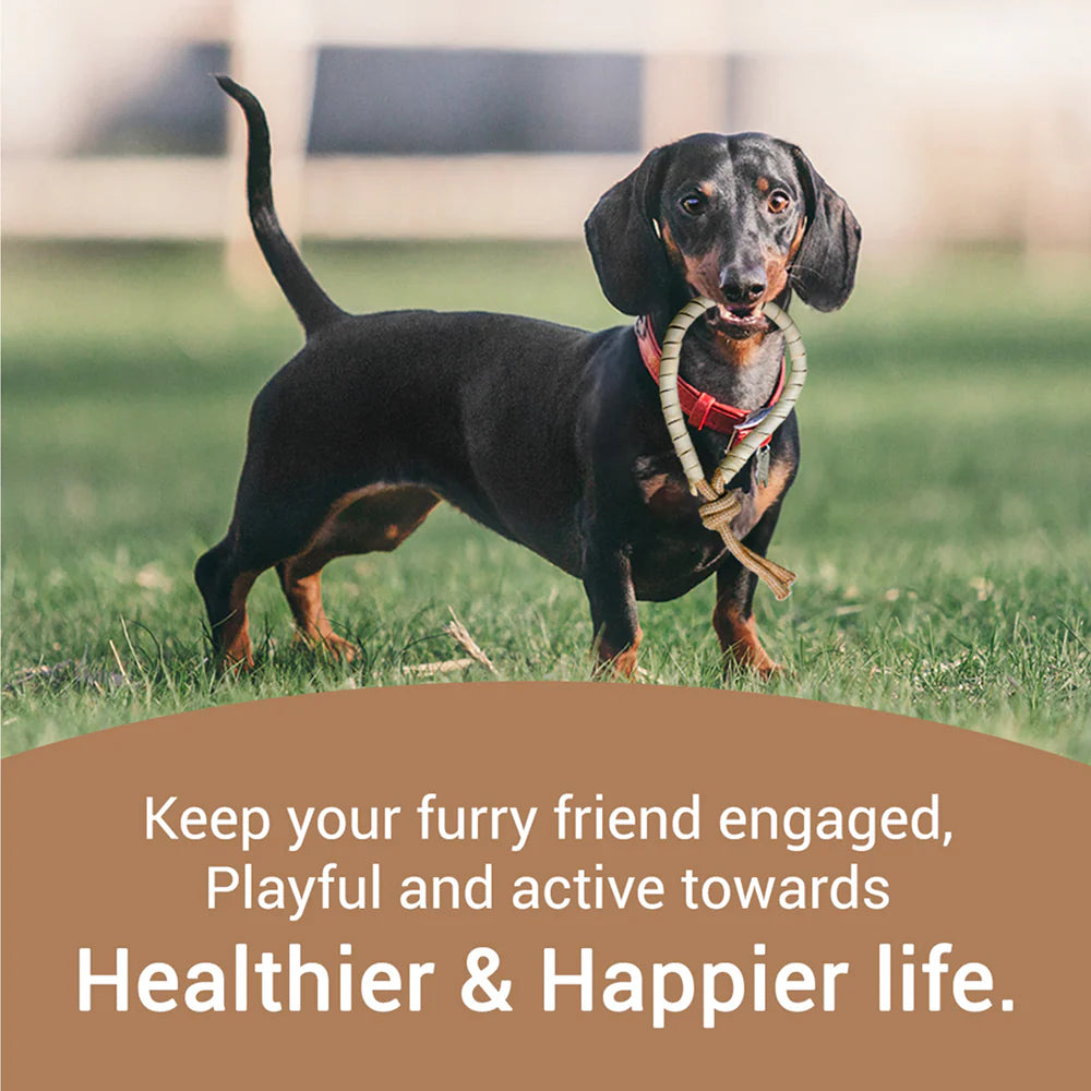 Bowlers Chewrope Bight Functional Dog Treat Toy